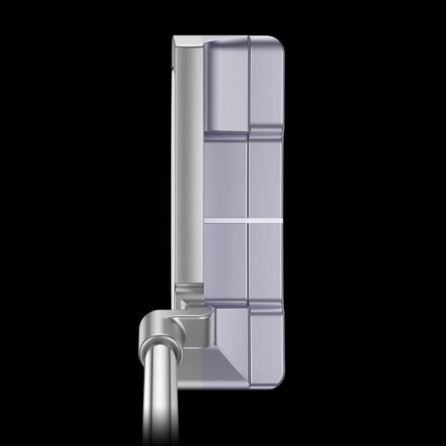 핑 G Le4 Anser 2D 퍼터